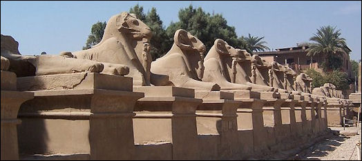 20120214-KarnakTemple LuxorEgypt_rams.JPG